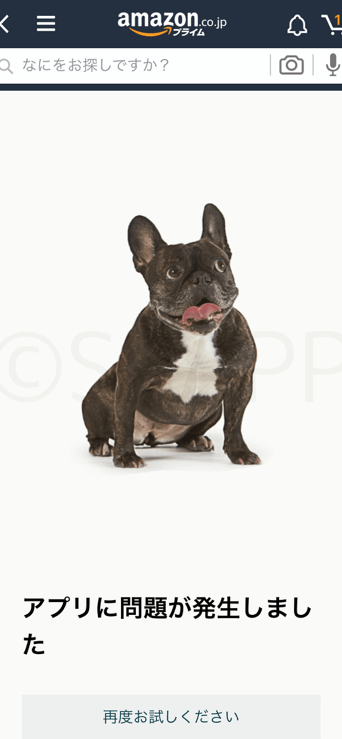 Amazonアプリに問題が発生した時の対処法