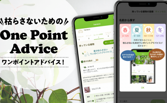 ガーデニングアプリで植物管理を始めよう