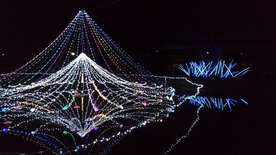 夜景は？ご飯は？Xperia Z5のカメラで実際に撮影した写真 #Xperiaアンバサダー