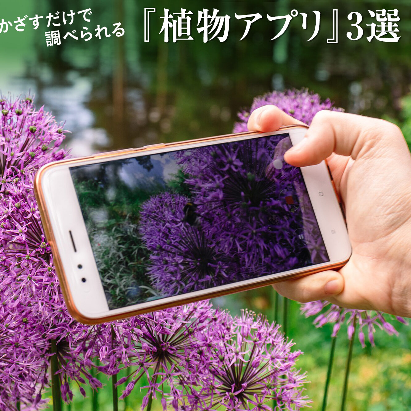 植物の無料アプリでガーデニングを始めよう