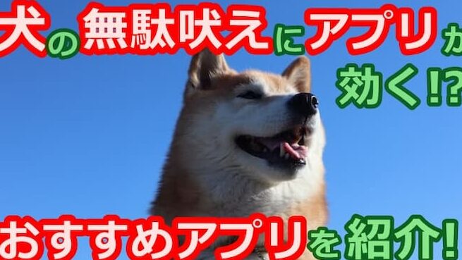 無料で使える犬の無駄吠え防止アプリ