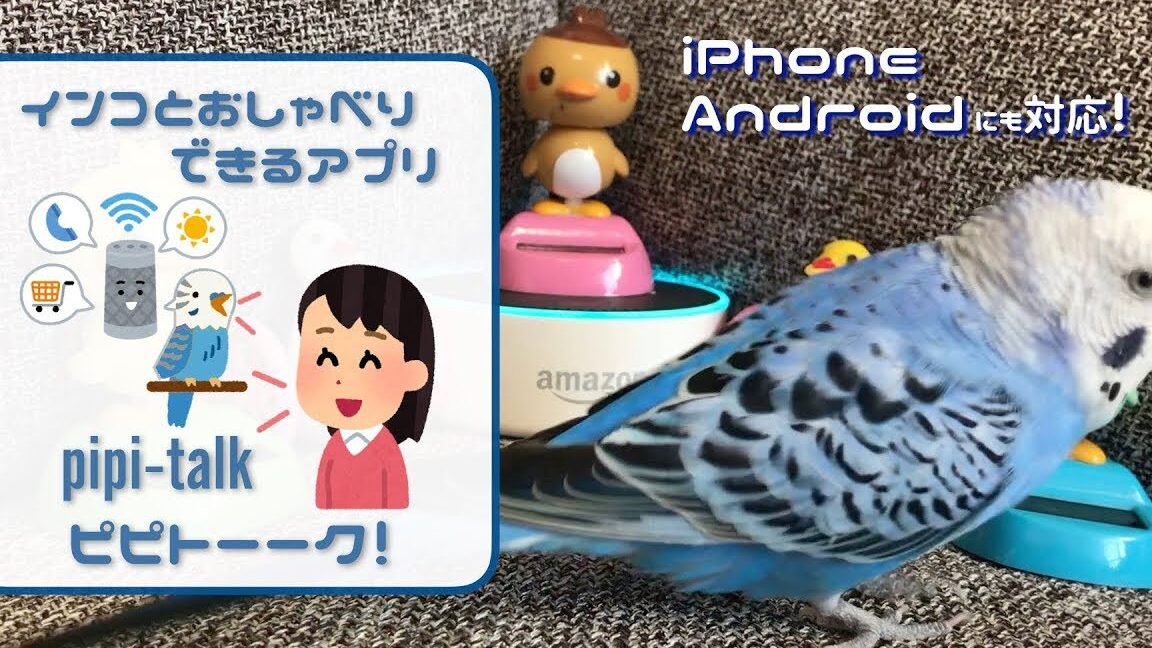 鳥の言葉がわかる画期的なアプリ