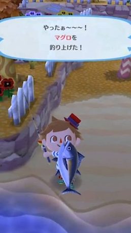 【どうぶつの森 ポケットキャンプ】逃られたマグロなどをもう1回釣りなおす方法