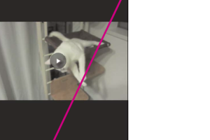 動画を後から手ぶれ補正する方法（Googleフォト編）