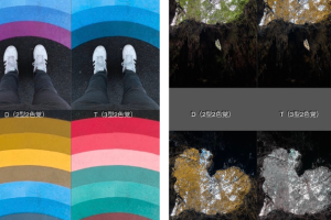 色覚障害者の見え方をシミュレーションできるカメラアプリ「色のシミュレータ」